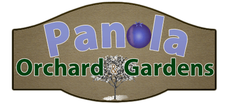 Panola Orchard & Gardens